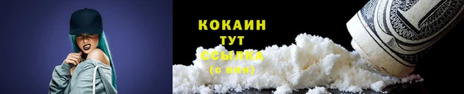 стафф Вяземский